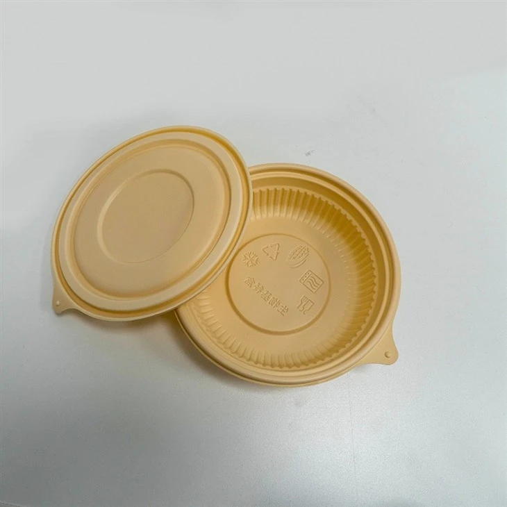 Biodegradable Bowls for Foodies - A Green Solution for Every Bite (3)