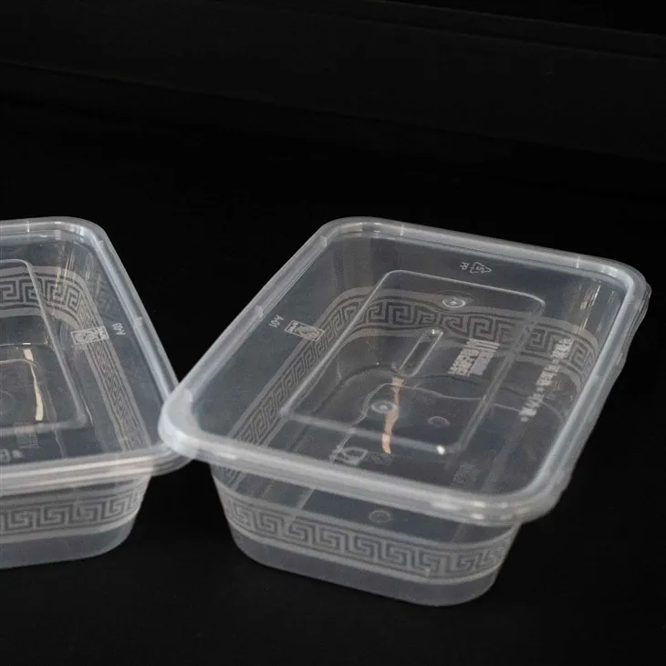 Eco-Friendly Plastic Boxes for Food Storage and Service (5)