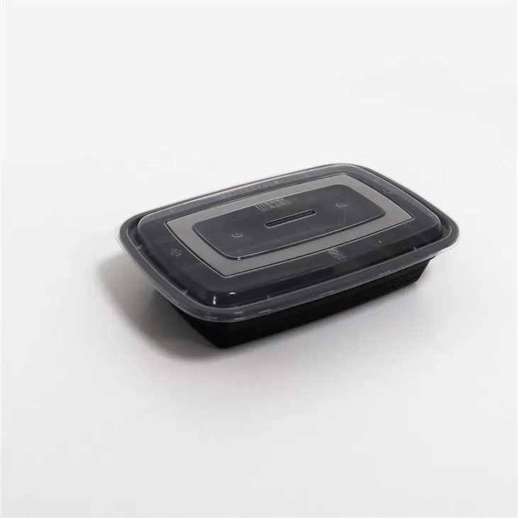 Eco-Responsible Disposable Lunch Boxes - Biodegradable Options (3)