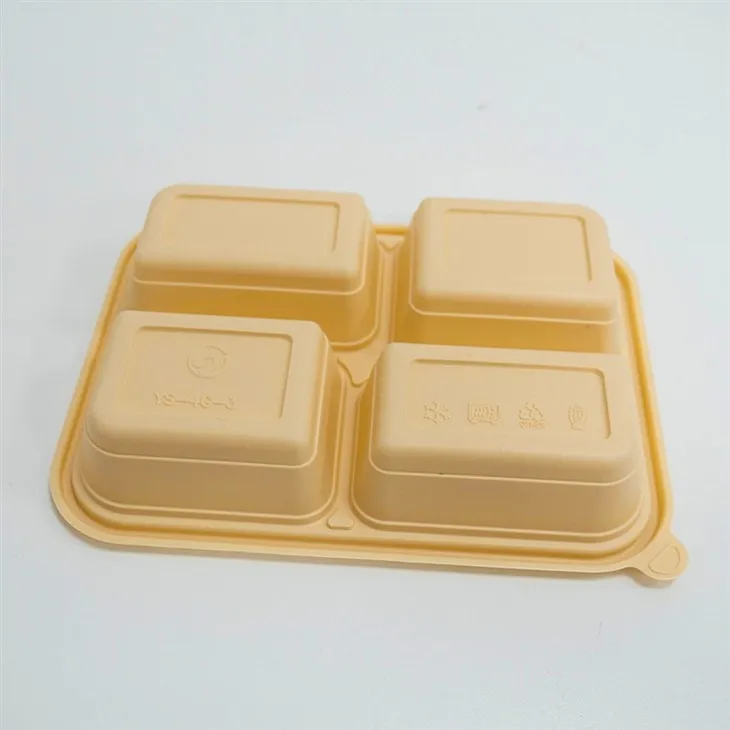 Eco-Responsible Divided Food Containers - Reduce Your Footprint (17)