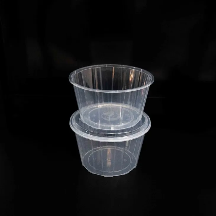 High-Volume Plastic Bowls - Designed for Large Portions (6)