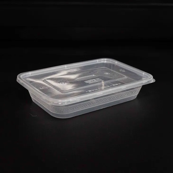 Portable Plastic Food Boxes - Ideal for Outdoor and Travel Dining (4)